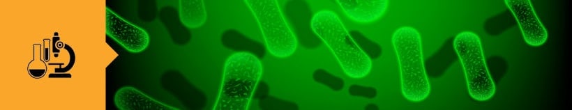 Bacteriology Laboratory