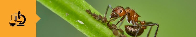 Entomology Laboratory