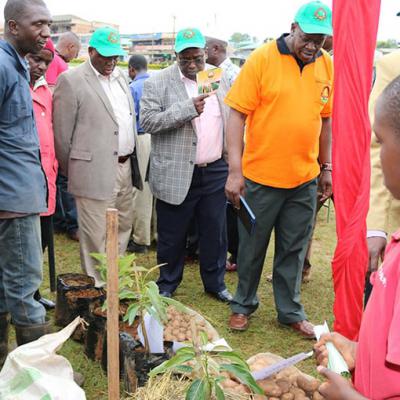 Kenya Plant Health Inspectorate Kephis Gallery 20